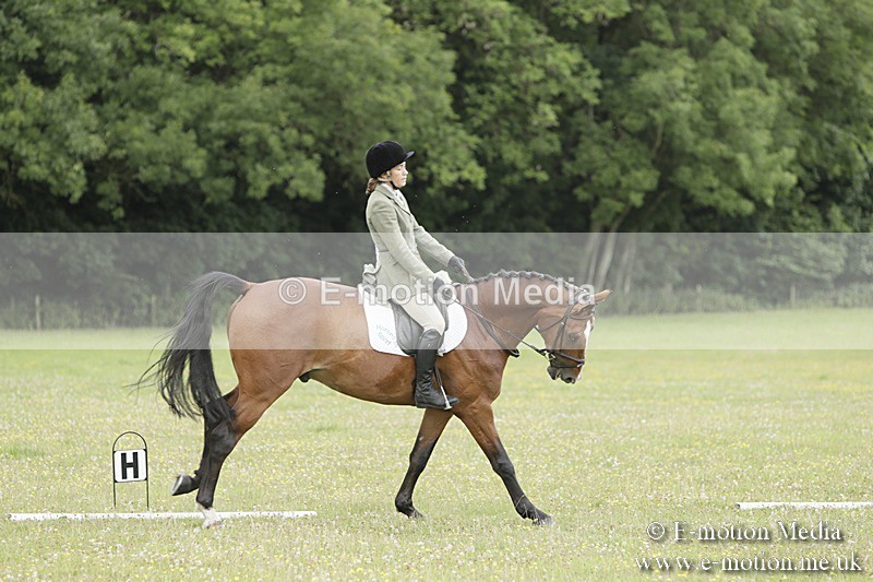 BVR160717-1419 - Class 3 Dressage 16/07/17