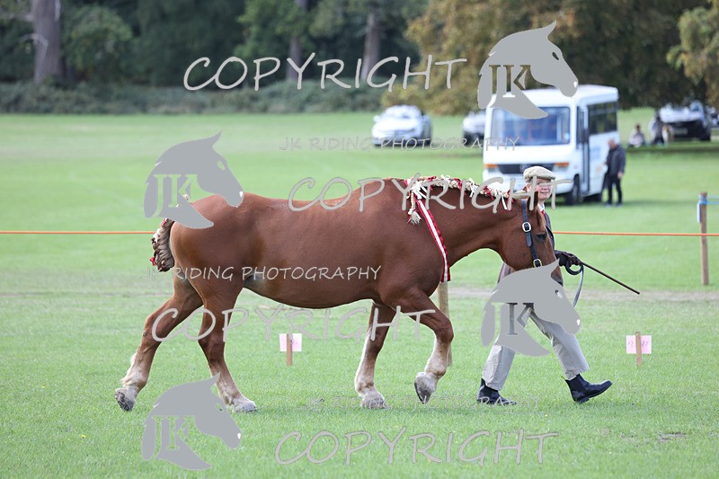 APP_3325 - Class 4 Veterans