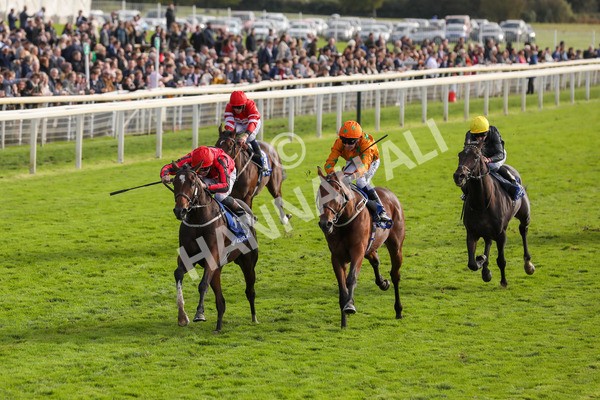 141023-Race 4-Colorada Dancer-0460 - Race 4 3.05pm Coral Racing Club EBF Maiden Stakes