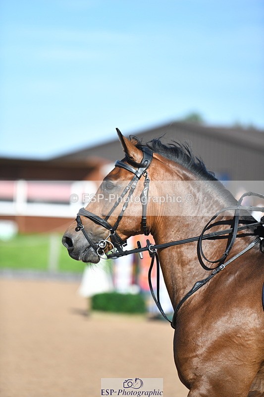 230903A-101112-03624 - Cls 12 95cm Amateur Quali