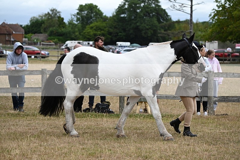 WJ6_8367 - Class 10 Coloured in Hand