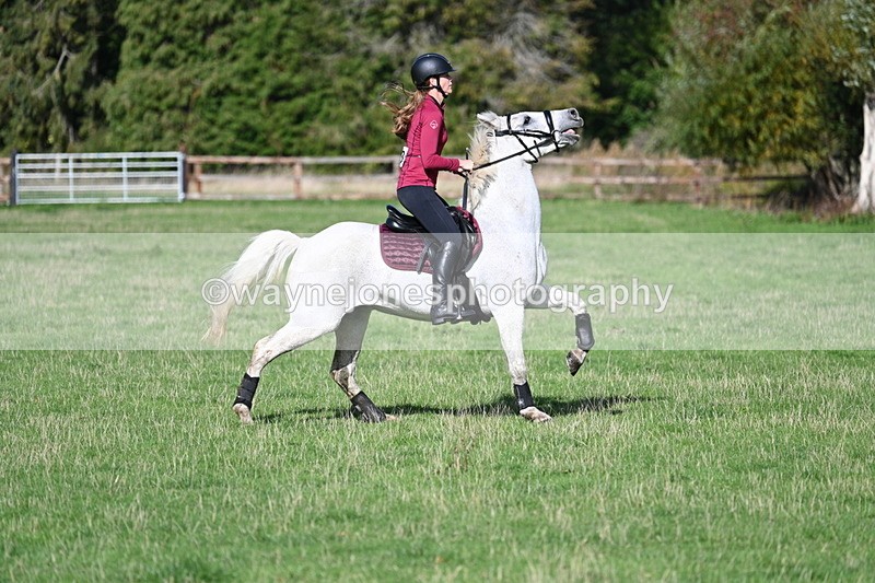 WJ7_8137 - Time 11:40 to 12:12