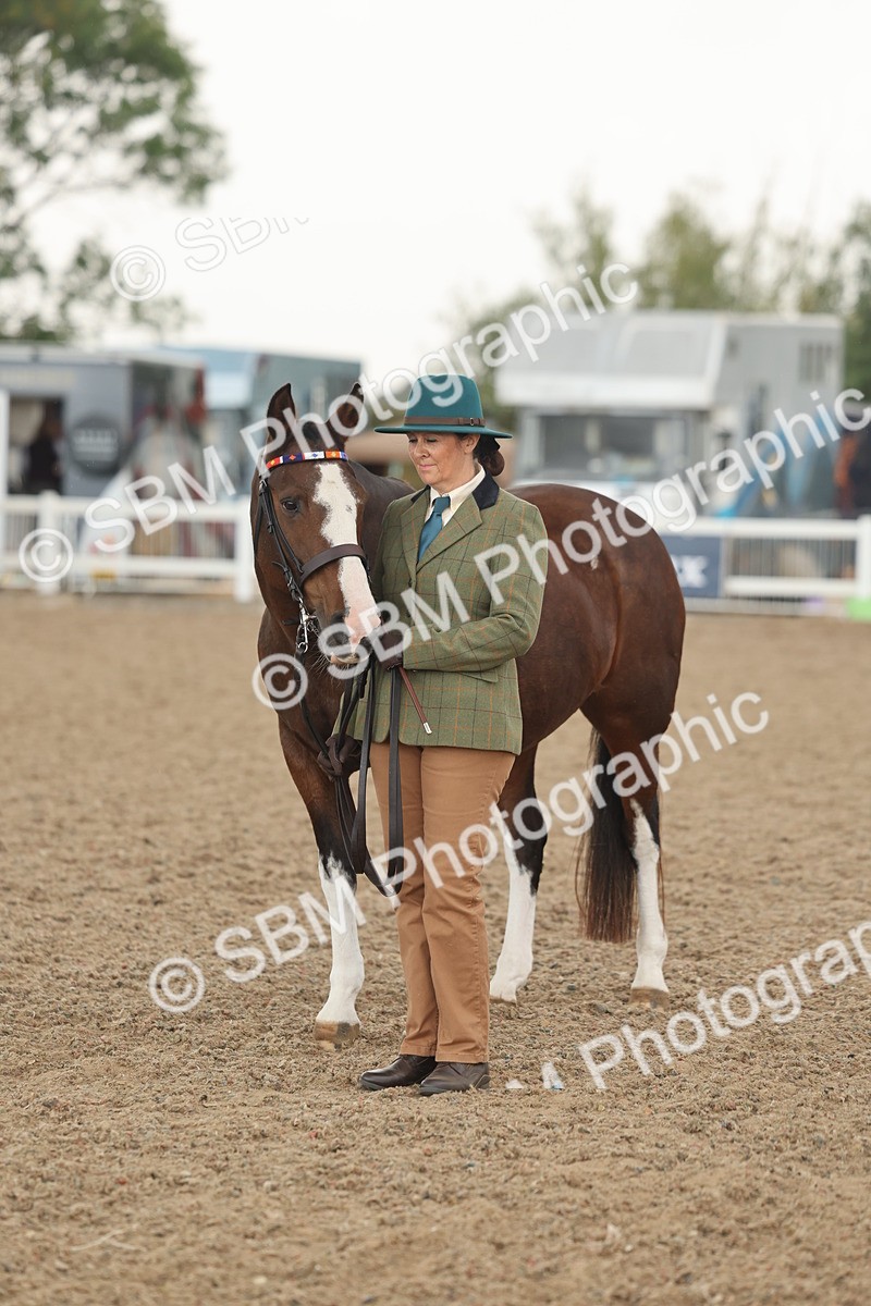 SBM_07694 - Class 26 - IH Foreign Breeds - Part Bred