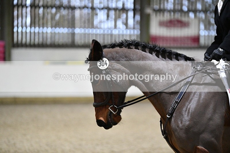 WJ5_9229 - Time 12:25 to 12:44