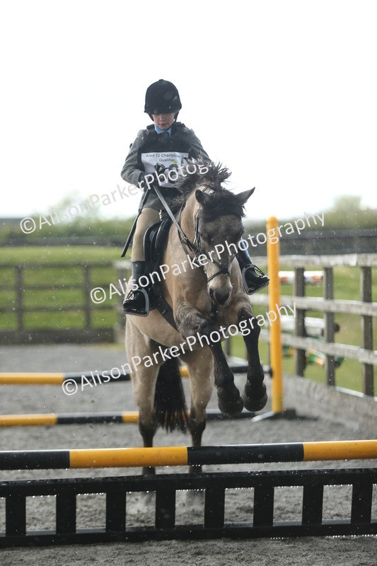 20260412-1945 - Show Jumping