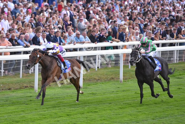 yr20082022r3-20 - Race 3 3.00pm Sky Bet City of York Stakes