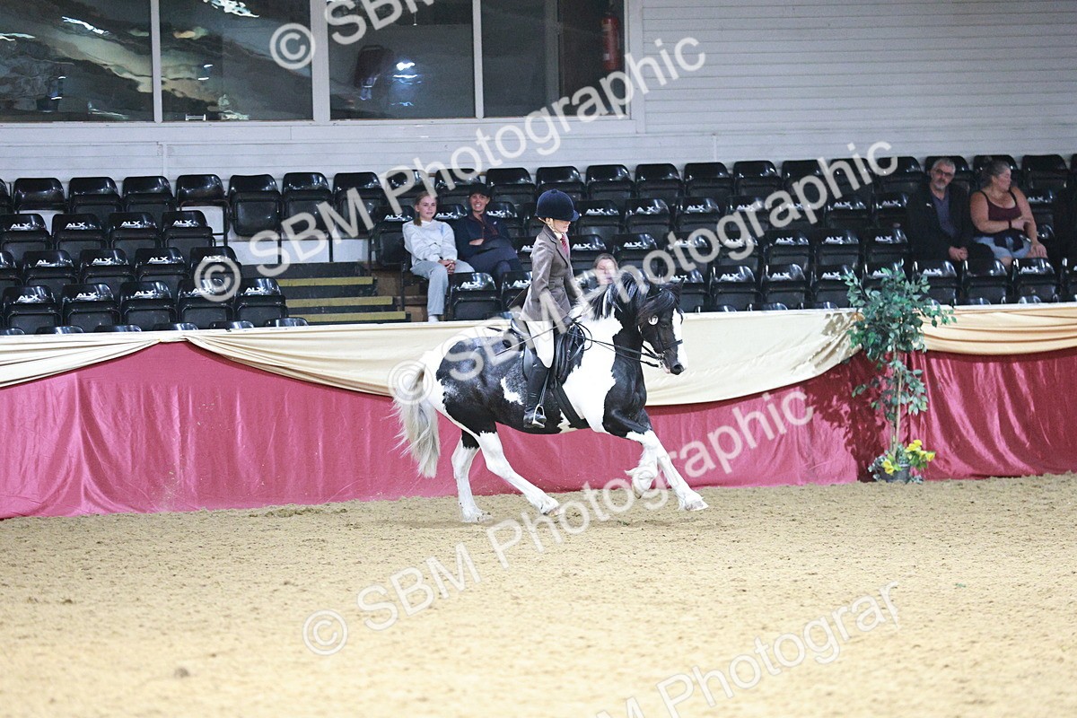 SBM_03657 - Class 6A Area Ridden Pre-Vet