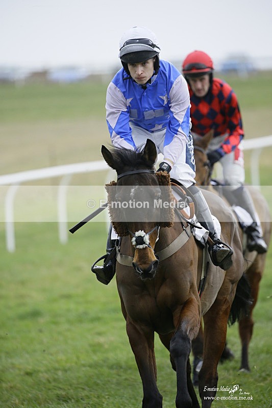 PtP 200222 266 - Countryside Alliance PtP Badbury Rings 20/02/22