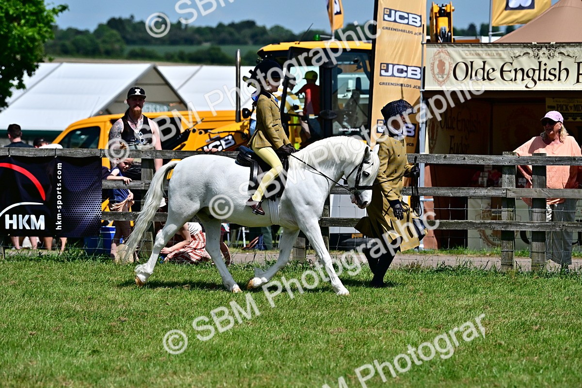 SBM_05917 - Class 59-60 - TSR M&M  Lear Rein and First Ridden Amateur of the year