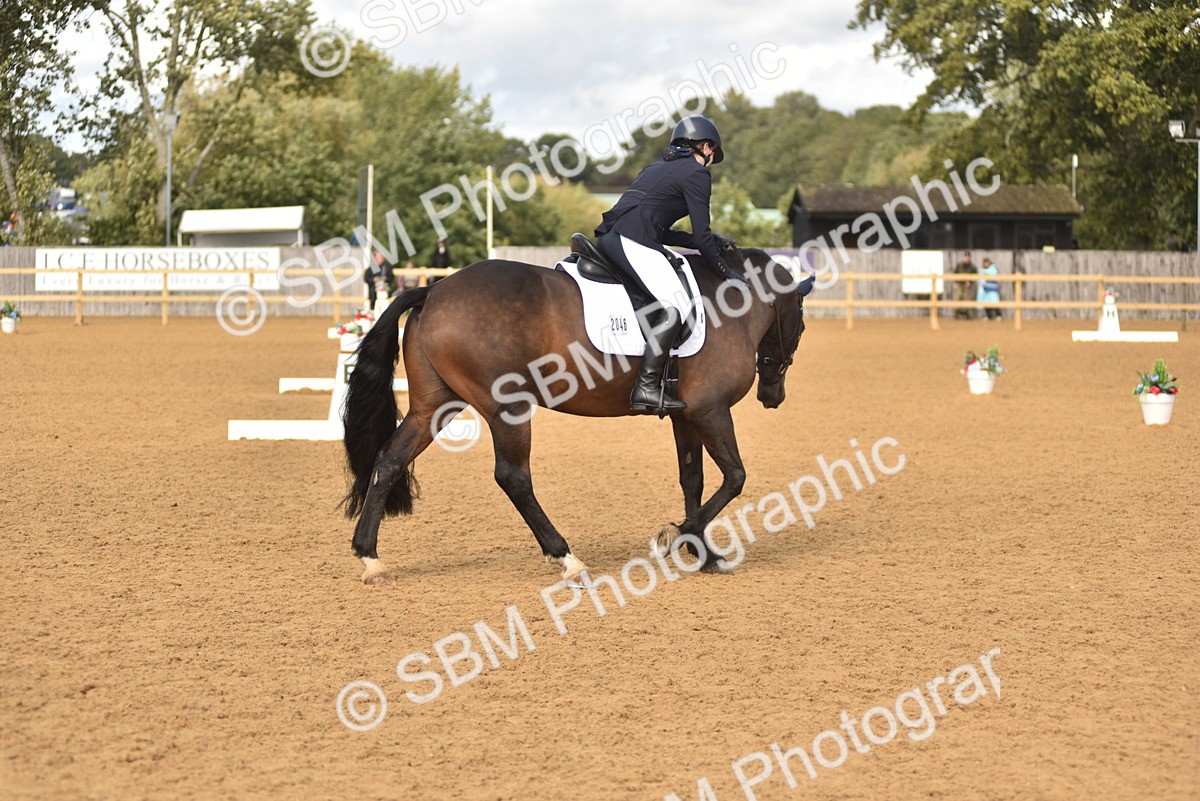 SBM_48795 - D22 - Junior Championship Intro 3