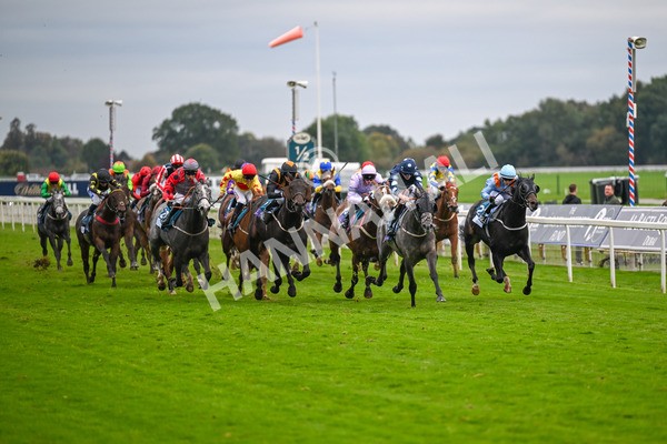 101025-Race 7-Sky Advocate-7134 - Race 7 PJ Staffing Group Apprentice Handicap at York