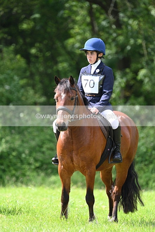 WJ7_1337 - Class 11 Condition & Turnout