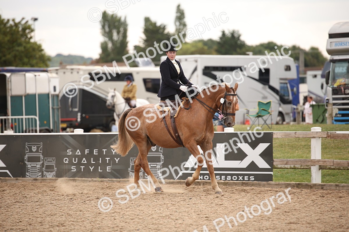 SBM_05377 - Class 22 SSA Equitation