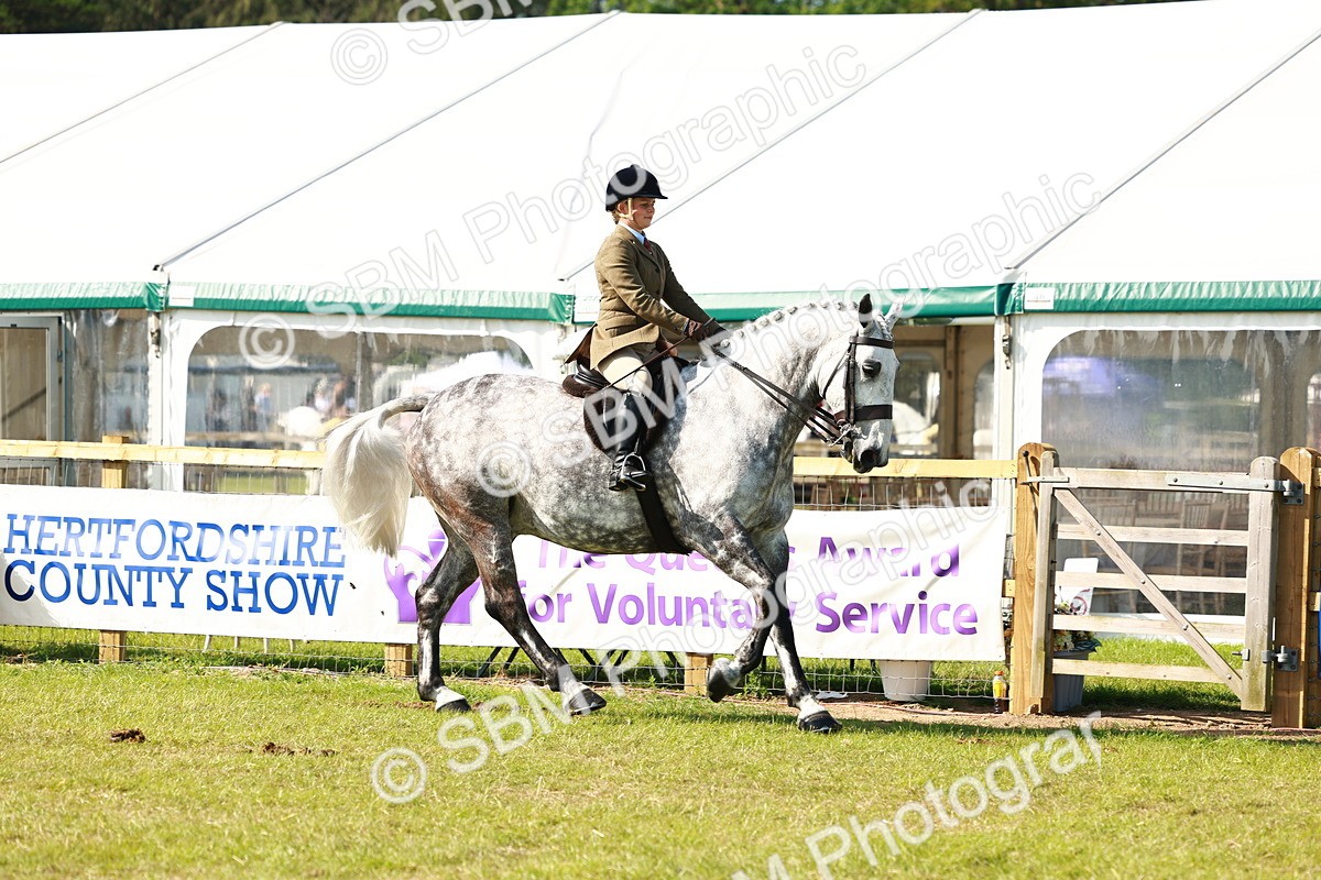 SBM_11923 - Class 66-69 - RIHS Ridden Hunters Inc Small Hunter