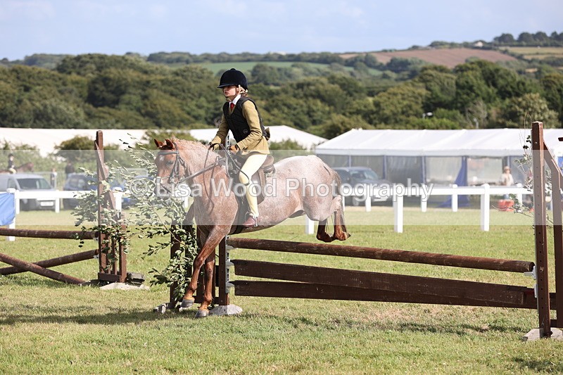 JPP_2835 - Class 20: Working Hunter 70cm