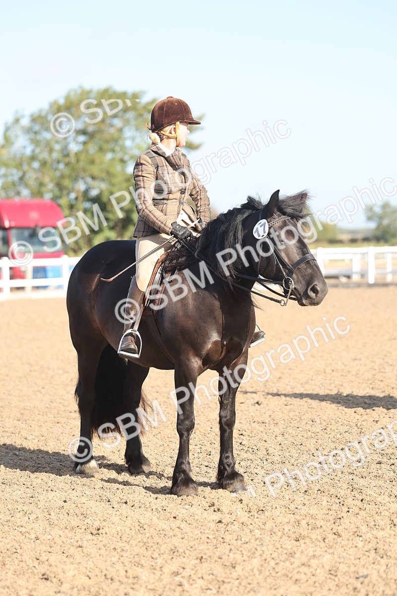 SBM_22132 - Class 801 - Ridden Veterans