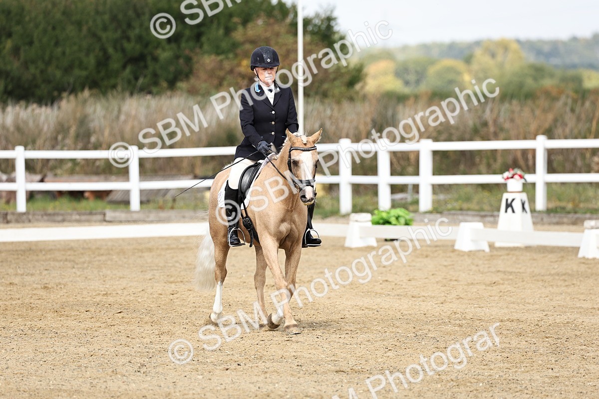 SBM_018195 - Class 16 - Novice 5 - 11.12-12.01