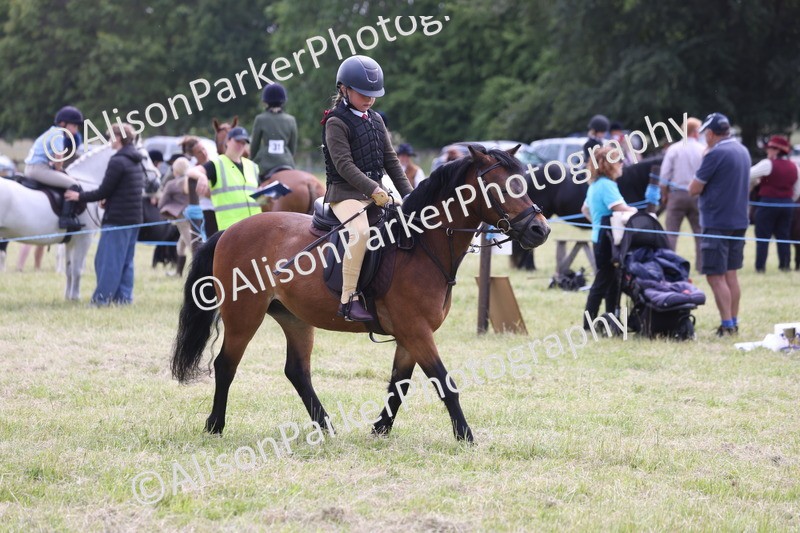 20260614-1840 - Class 21 - Novice Working Hunter Pony