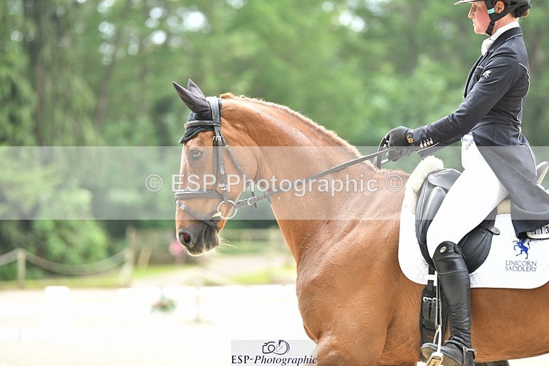 230525-130242-02081 - 113-I'M_A_WONDER-Rosie_Fry-WEDTrotUp+DR