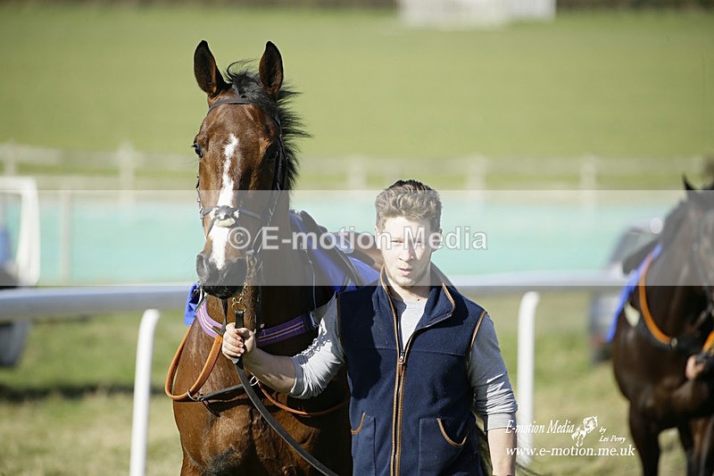 PtP 260222 165 - Kingston Blount Racing Club Point-to-Point 26/02/22
