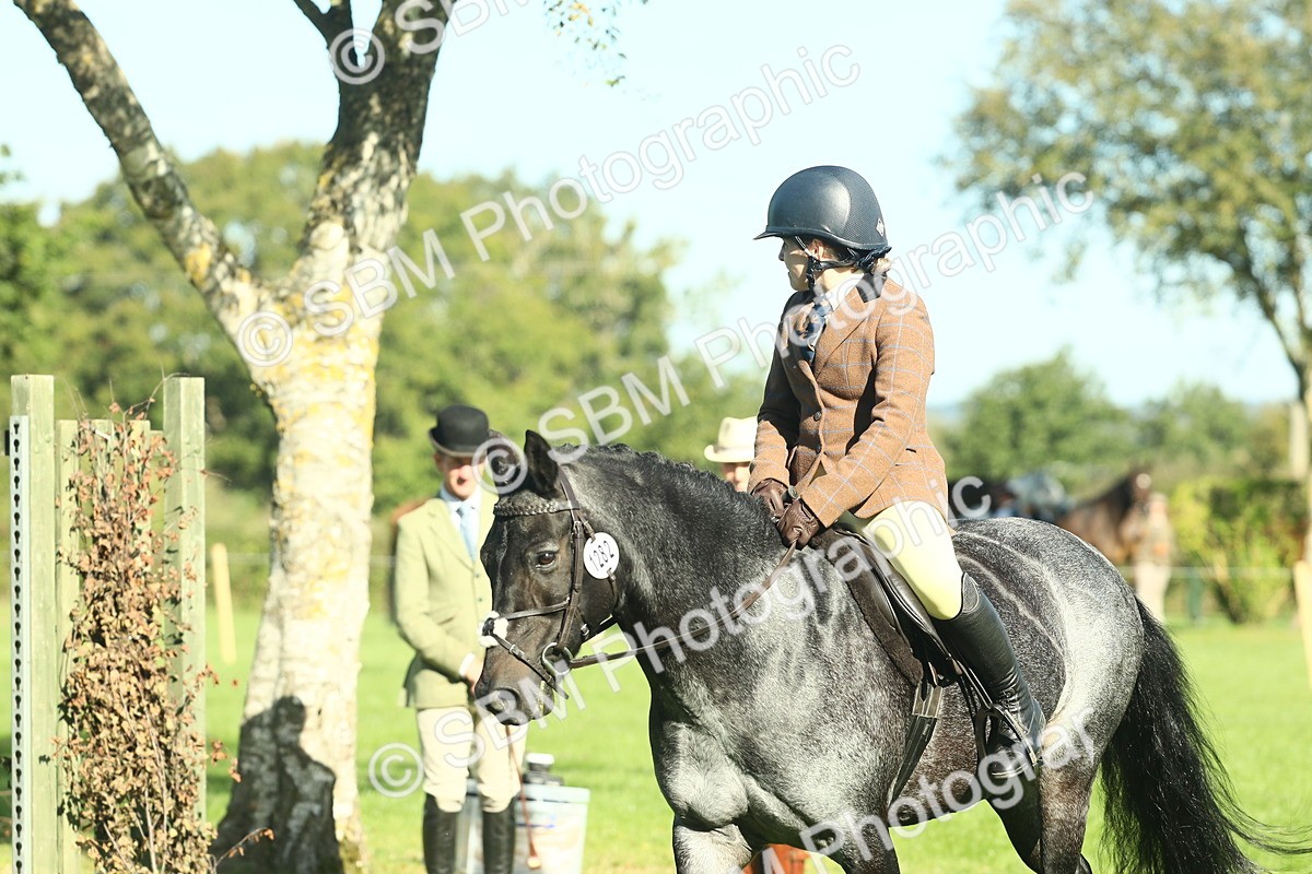 SBM_36453 - S29 - Novice & Newcomers Working Hunter Pony