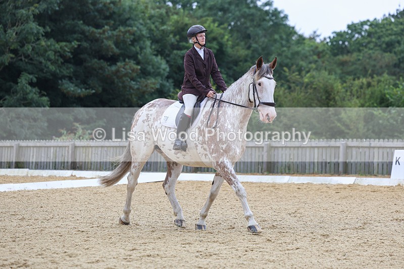 3E7A4875 - Class 1: Intro 4 2024 section A