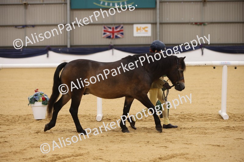 20260913-1090 - Class 110 - Bred In Other In Hand