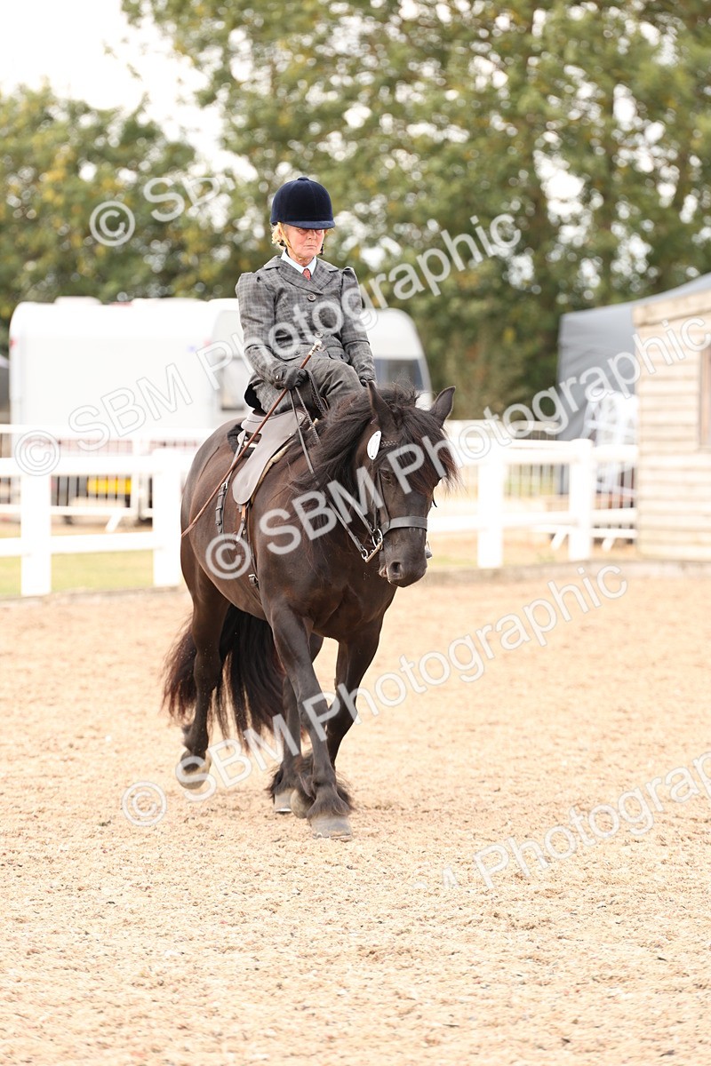 SBM_16428 - Class 211 - Best Side Saddle Horse - Pony