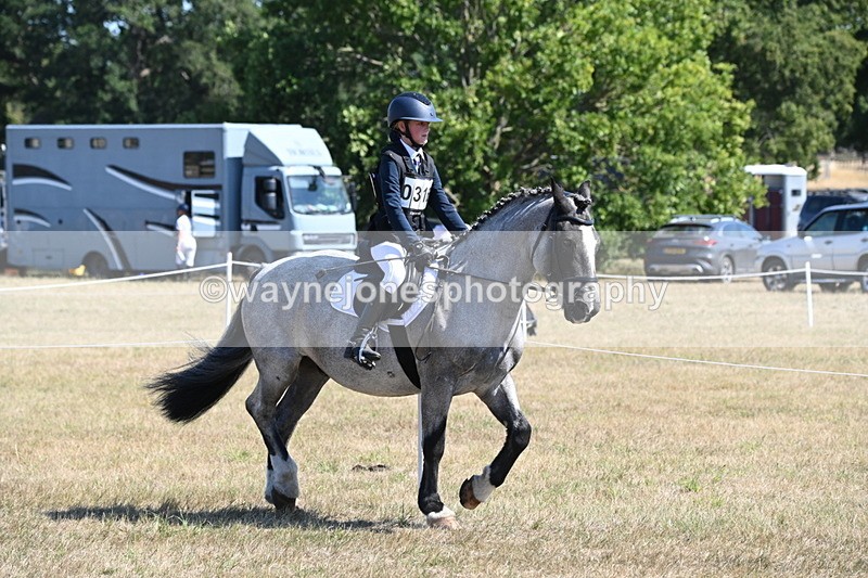 WJ6_8287 - Class 37a Best Loan Pony Ridden