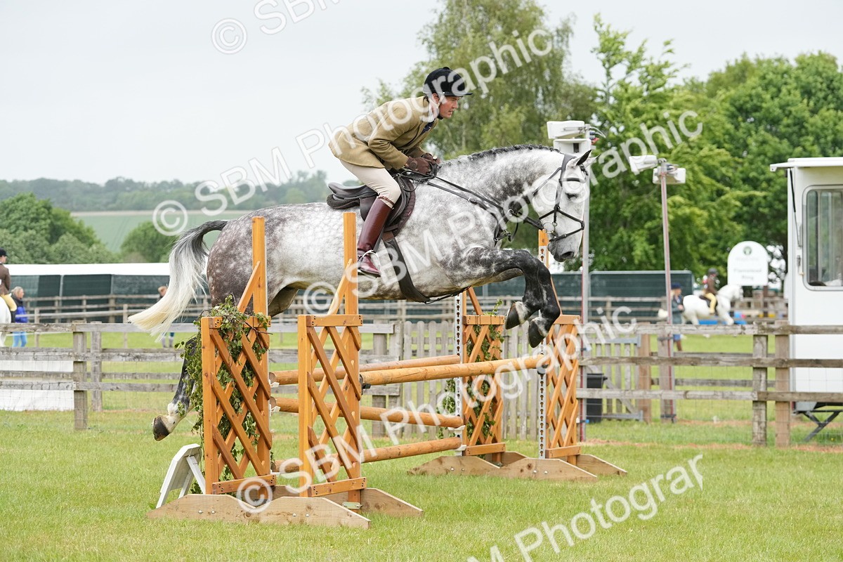 SBM_12617 - Class 97-98 - LIHS BSHA Rising Star Working Show Horse Hunter