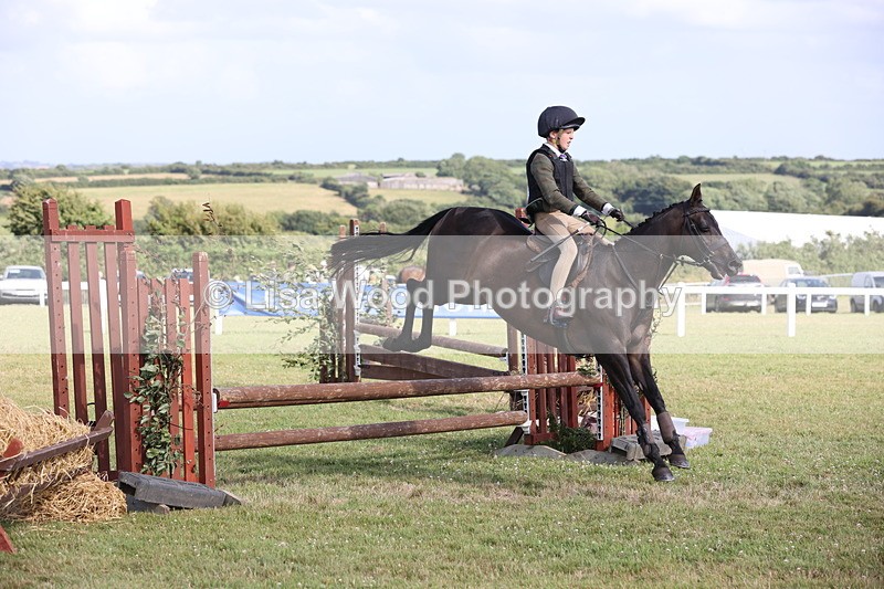 JPP_2786 - Class 20: Working Hunter 70cm