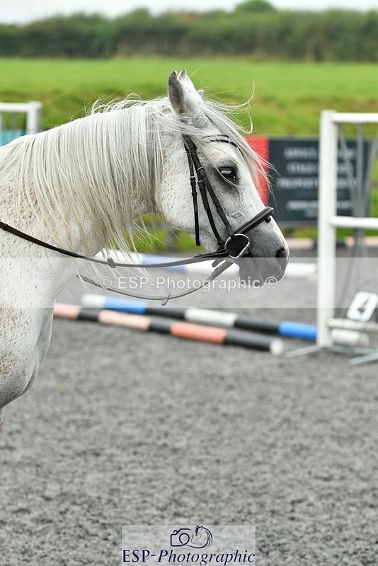 230817-090329-00076 - Theo's 1st Group - Arena