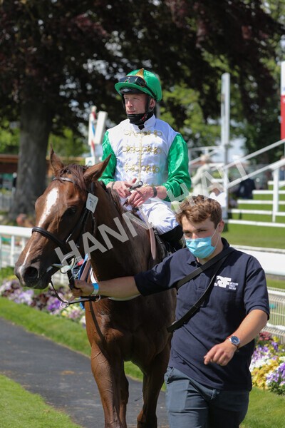 yr11062021r3-39 - Race 3 2.55pm SKF Rous Selling Stakes