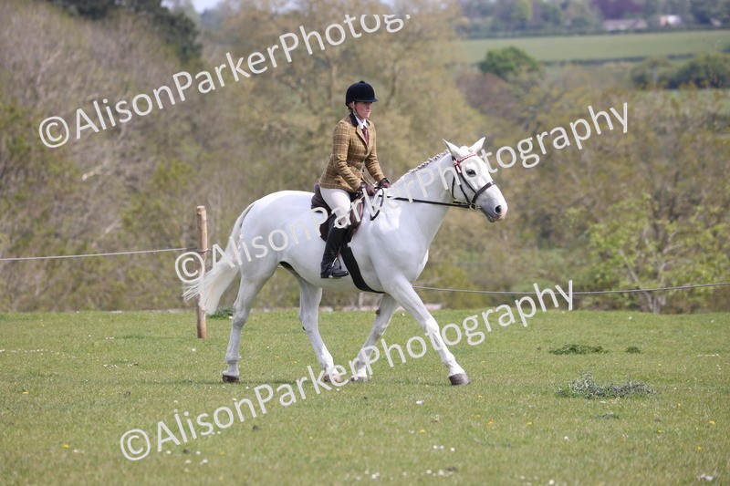 20260426-4333 - Class 34 - Best Riding Horse Over 14.2hh