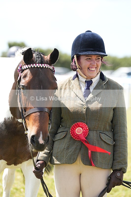DSC07229 - Coloured Horse In Hand Championship