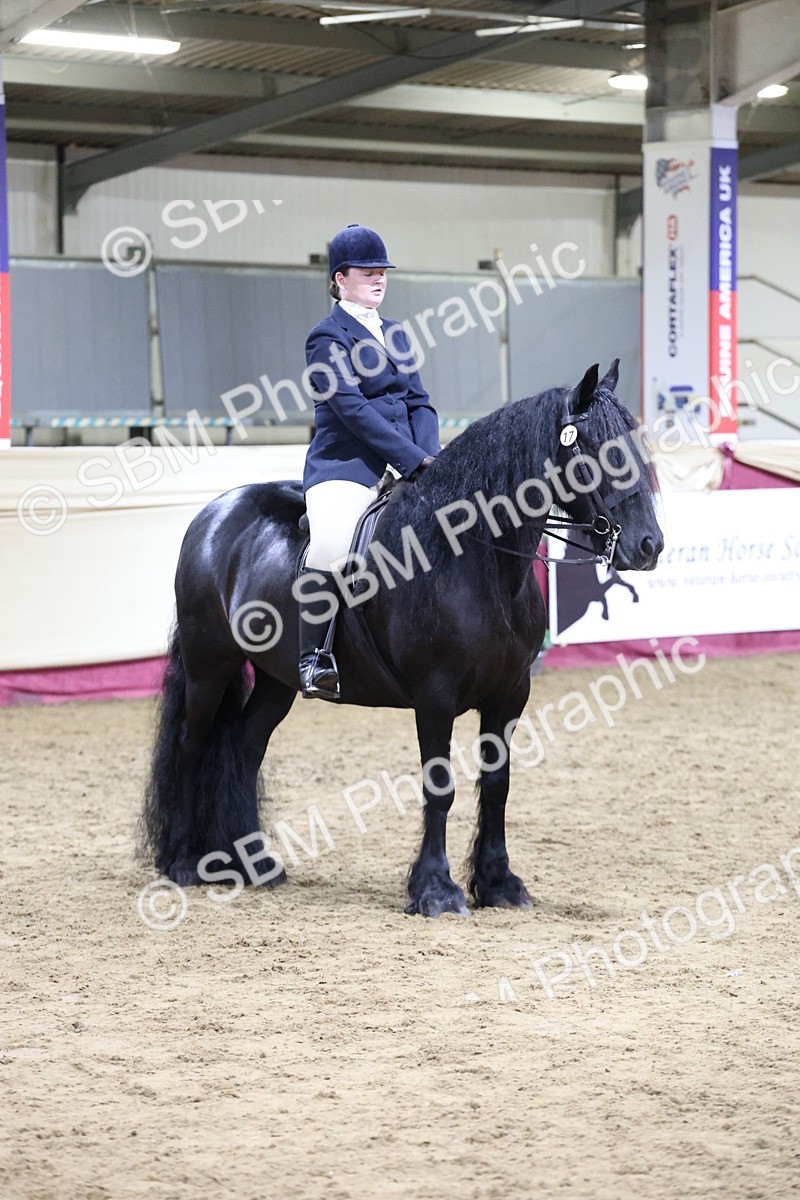 SBM_20932 - Class M - Equitation Champ