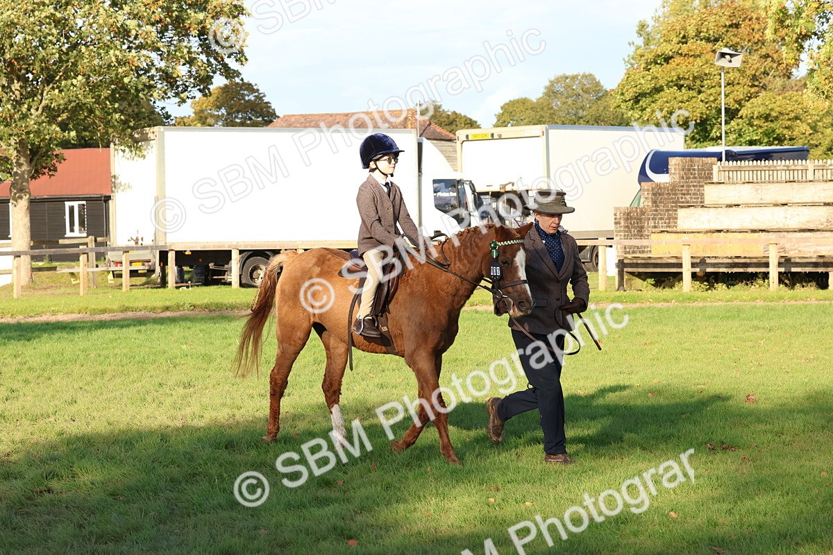 SBM_53027 - S29 - Mature Veteran Ridden