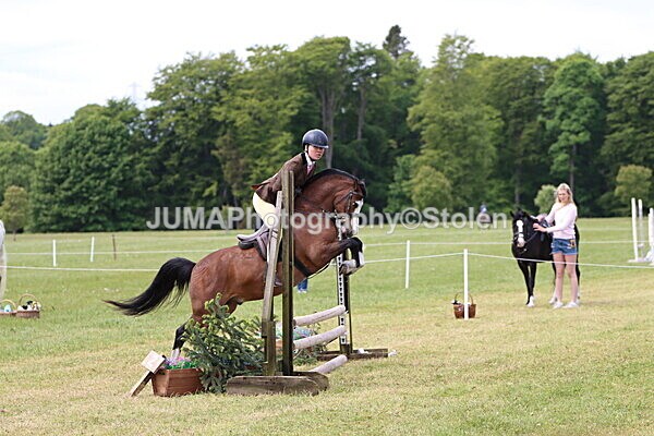 IMG_2873 - Working Hunter