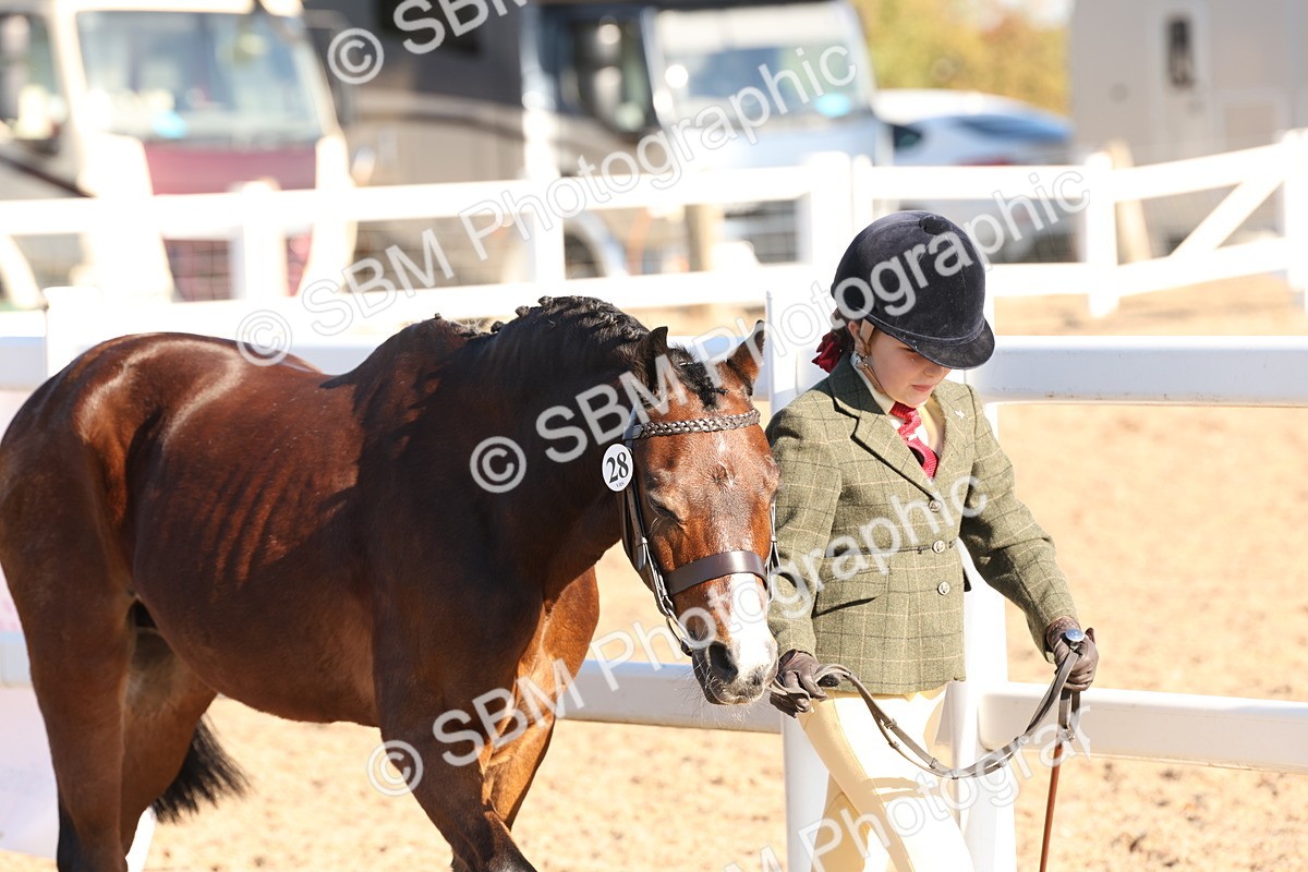 SBM_11614 - Class 203 - Young Handler 11 to 16 years