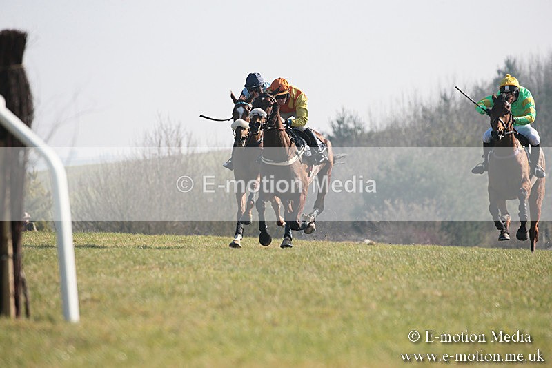 PtP 230219 300 - Vine & Craven Point-To-Point - Barbury 23/02/19