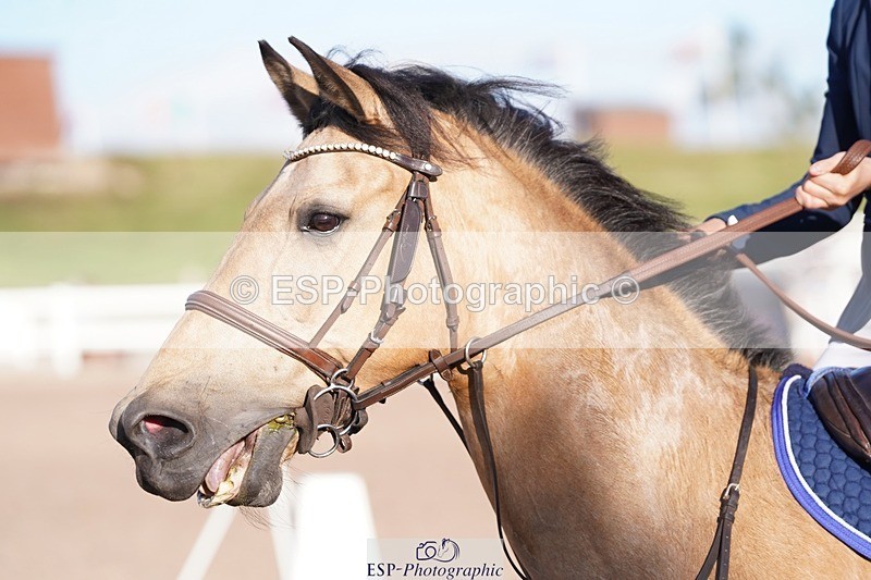 250627-191806-00490 - Cls 5 Junior 1.10m Open