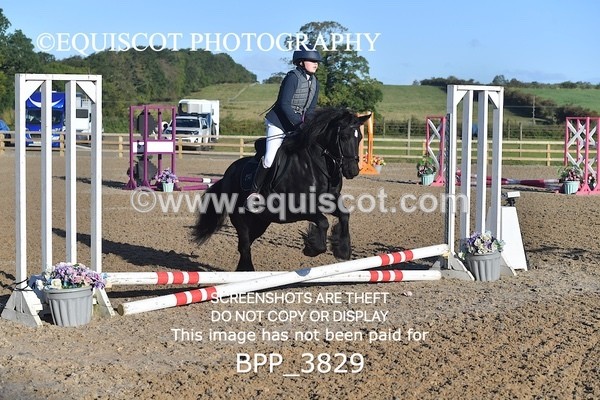 BPP_3829 - CLASS 0 Clear Round Show Jumping