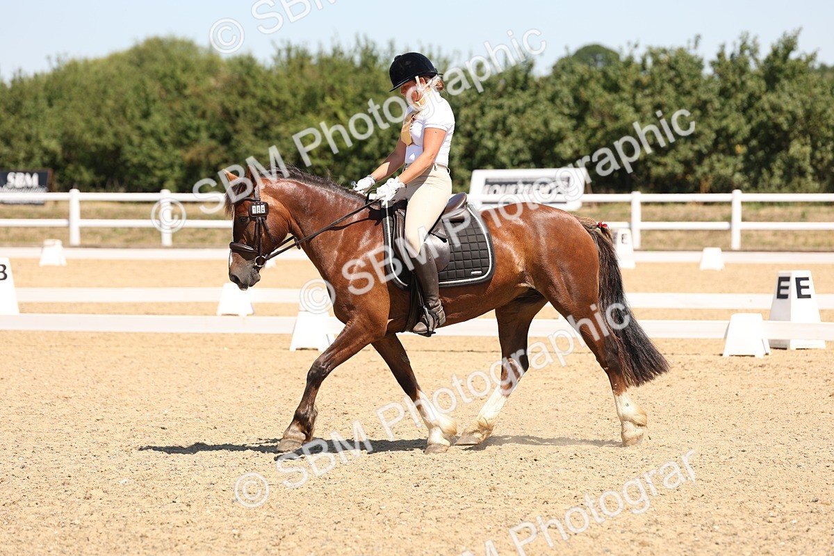 SBM_001306 - Intro 2