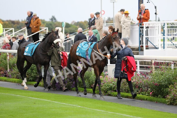 yr07102022r1-2 - Race 1 2.05pm Parsonage Hotel and Cloisters Spa Stakes