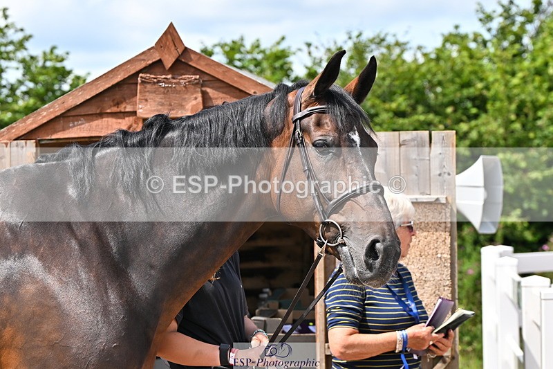 240718A-105252-01256 - Trot Up 12pm to 1pm