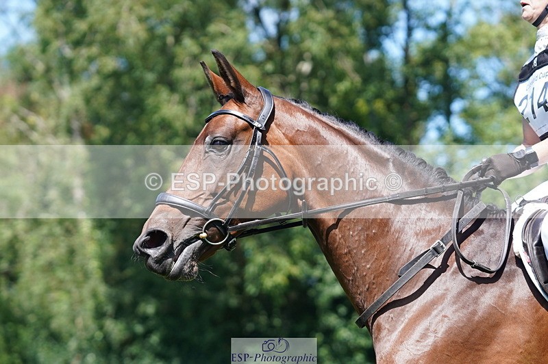 240811A-140258-04161 - 214-