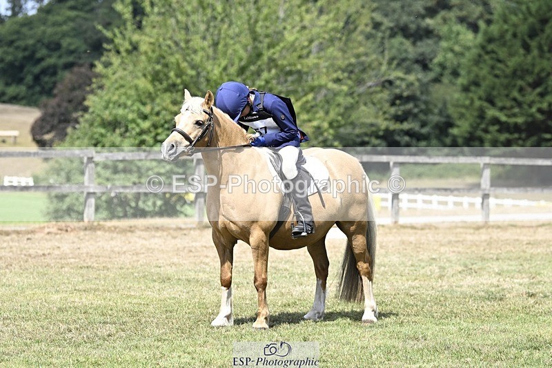 250821A-122801-15558 - DR 11.00 to 12.00