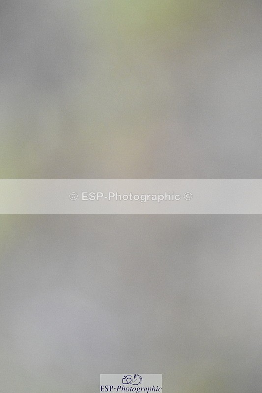 250831A-122520-10027 - Cls 36 Snr 1.30m Grand Prix