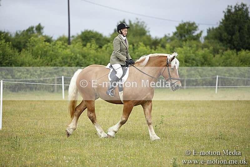 BVR160717-250 - Ring 1 BVRC Show 16/07/17