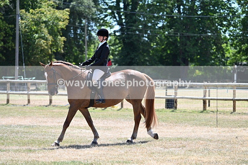 WJ7_2731 - Class 7 Riding Club Show Horse